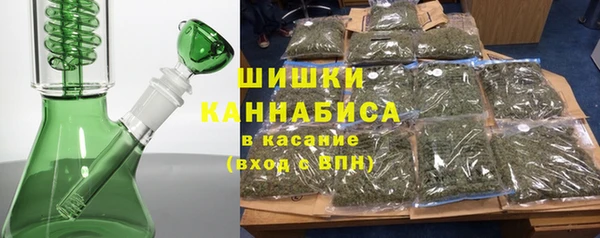 амф Бронницы