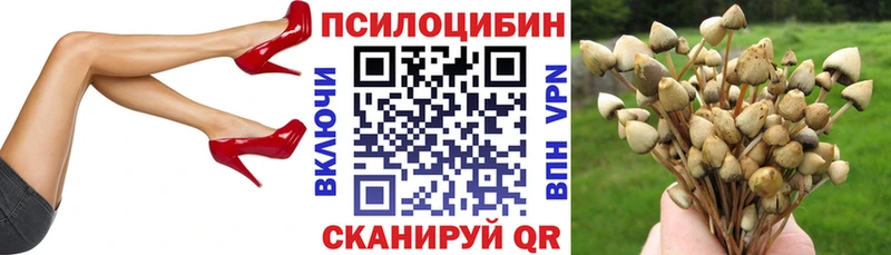 цены   Кировск  Псилоцибиновые грибы мухоморы 