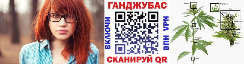 где купить   Кировск  Каннабис гибрид 